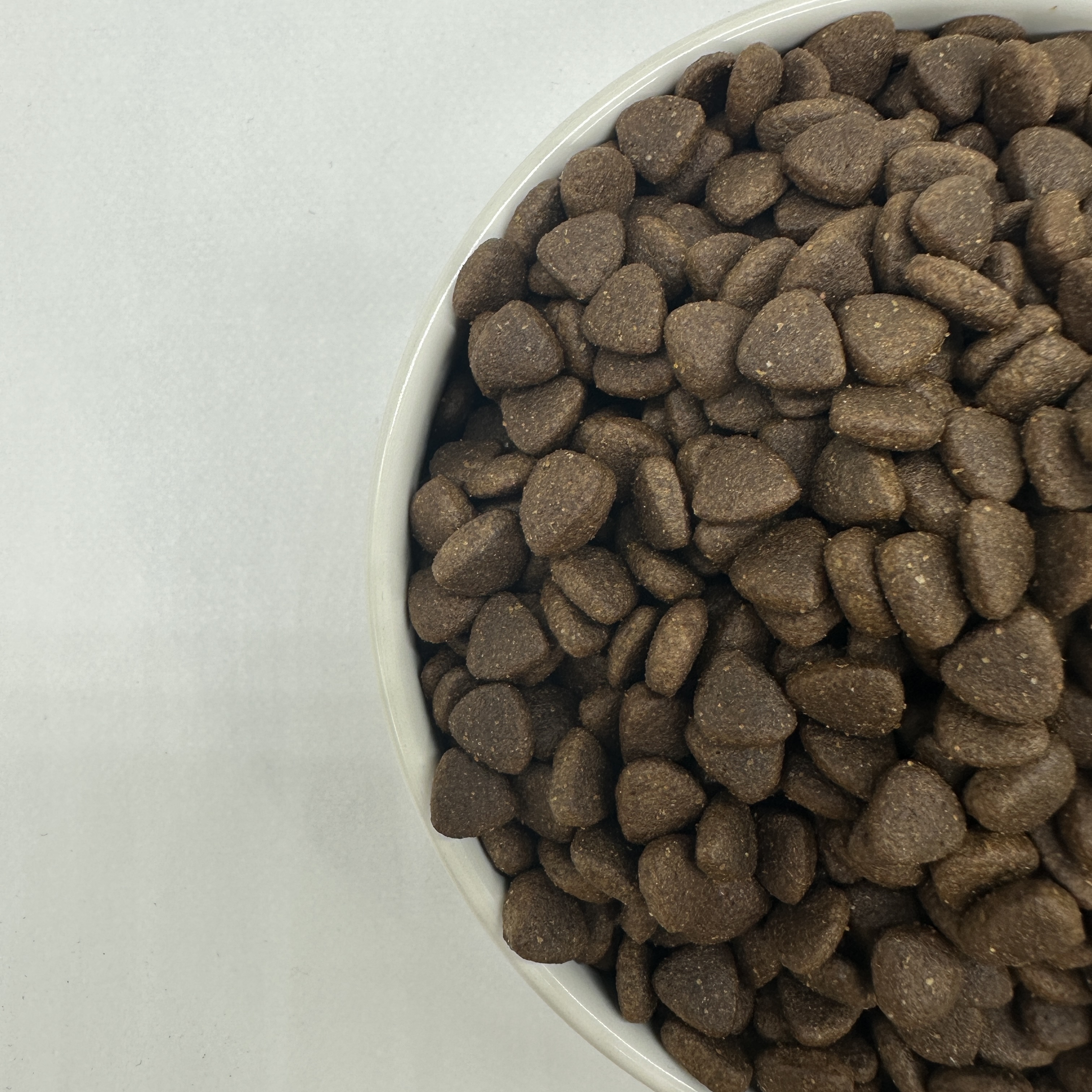 Gros plan sur des croquettes AMD Dog Food en bol